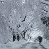 雪のトンネル