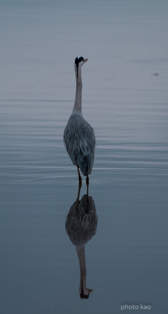 7D__8937
