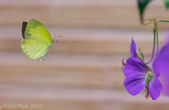 立秋の候