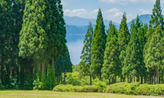 湖畔の森