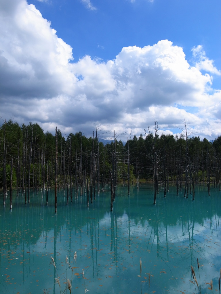 blue lagoon