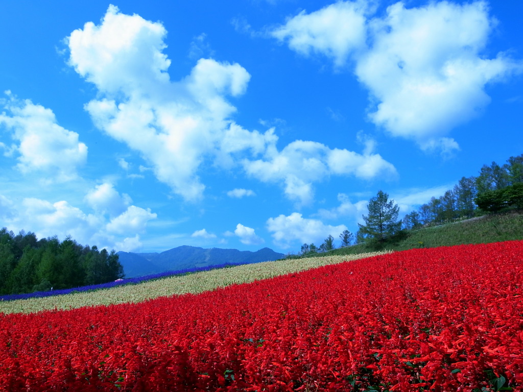 Furano