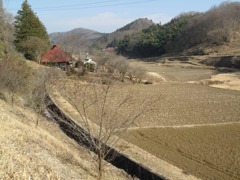 春を待つ、のどかな風景