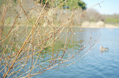 IMGP4339