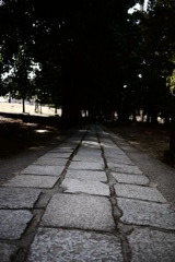 P1000370
