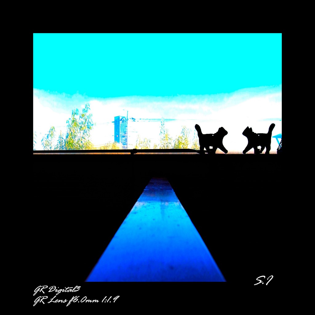cats