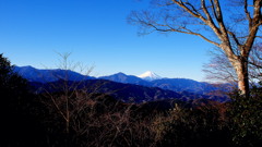 Mt.Fuji