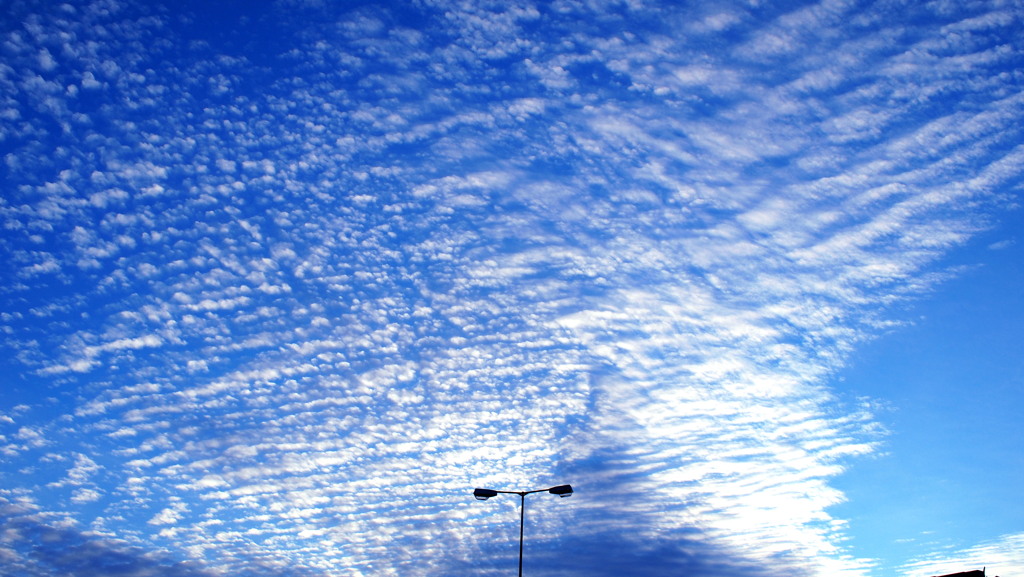雲
