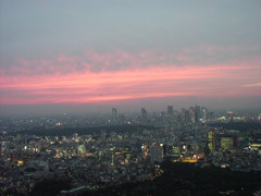 from 六本木ヒルズ