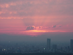 from 六本木ヒルズ