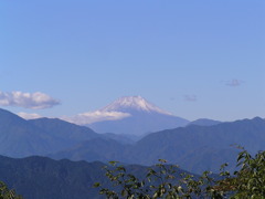 高尾山から望む富士山