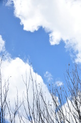 青空