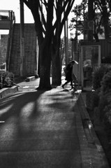 家路