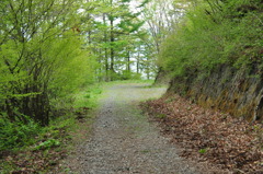 道