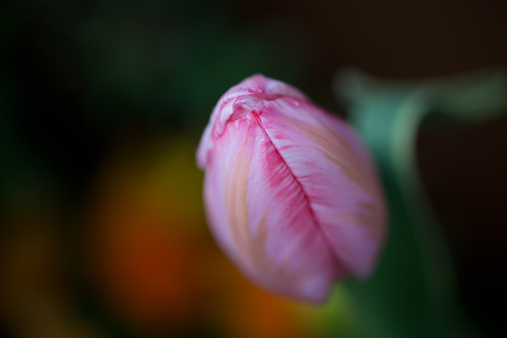 Colors