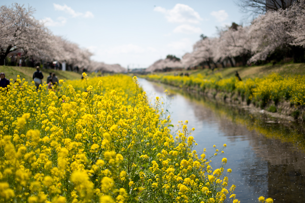 春の風景