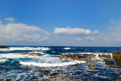 海