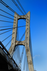 橋
