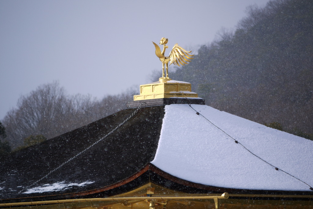 金閣寺(4)