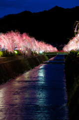 桃水面