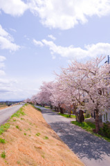 河川敷より春を込めて。