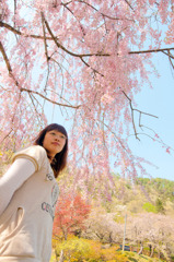 春散歩