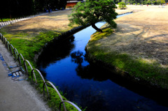 小川と散歩道