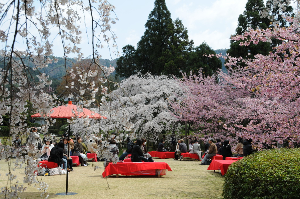 醍醐寺