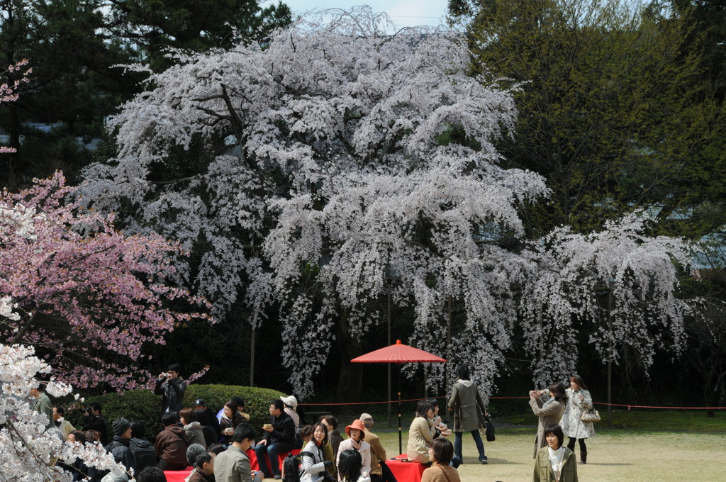 醍醐寺