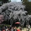 醍醐寺