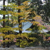 包まれて