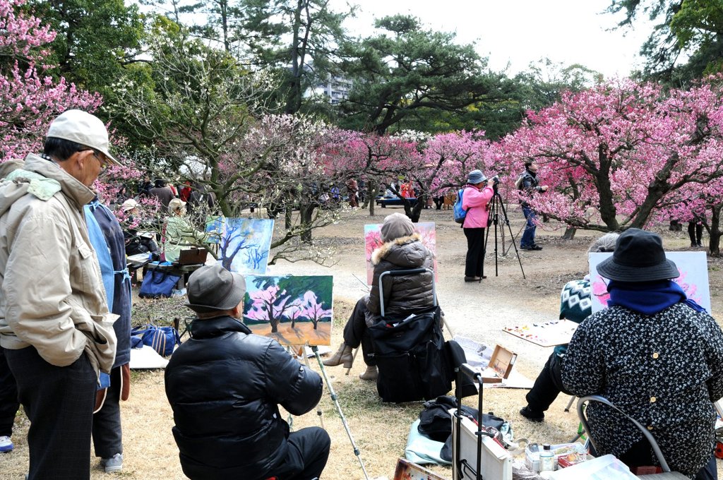 栗林公園は今が見頃です