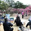 栗林公園は今が見頃です