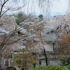 天竜寺