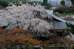 天竜寺