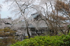 天竜寺
