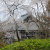 天竜寺
