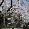 醍醐寺