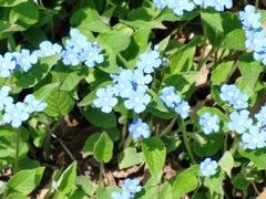2010,5,4札幌市 013