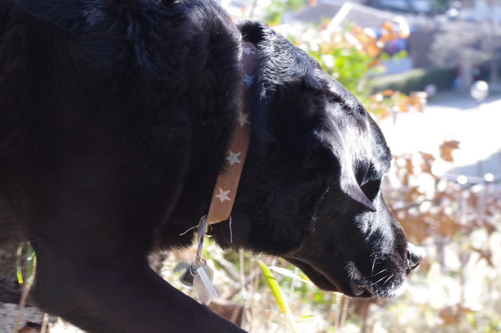 集中？スタンバイ？