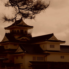 富山城