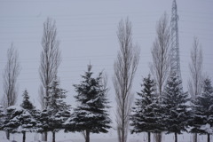 雪景色