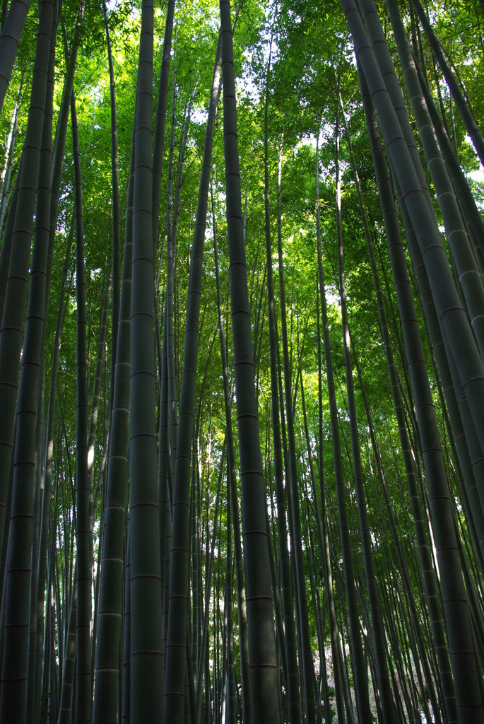 癒しの空間・・・