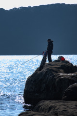 釣り人たちの活動