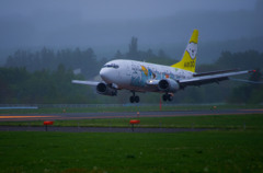 Landing