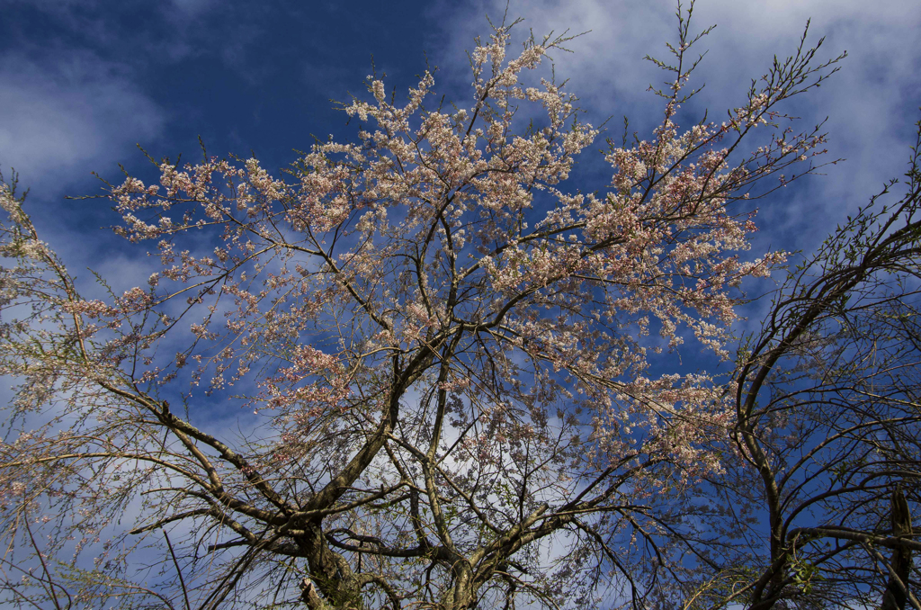 空を見上げて