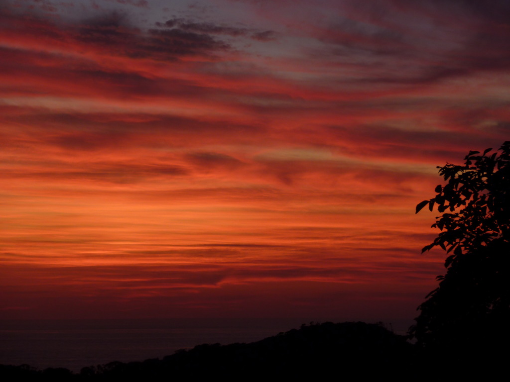 夕焼け