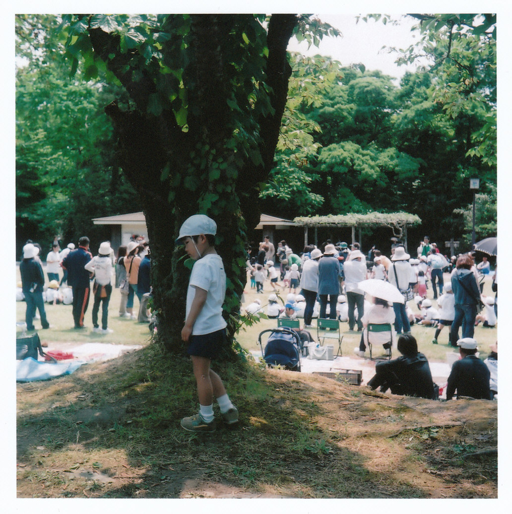 つまんないんだよな