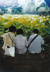 いつまでもなかよし