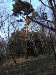 錯覚